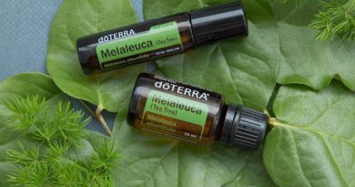 aceite esencial del árbol de té melaleuca doterra